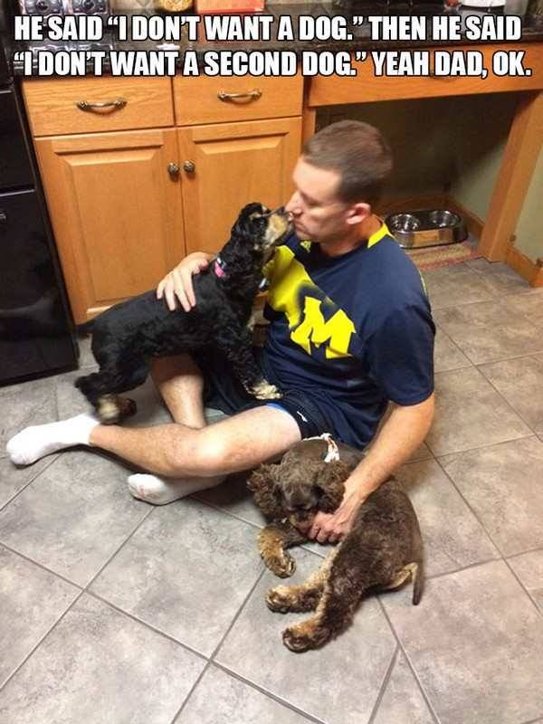 pr1nceshawn:It’s Impossible Not To Fall In Love With Dogs.