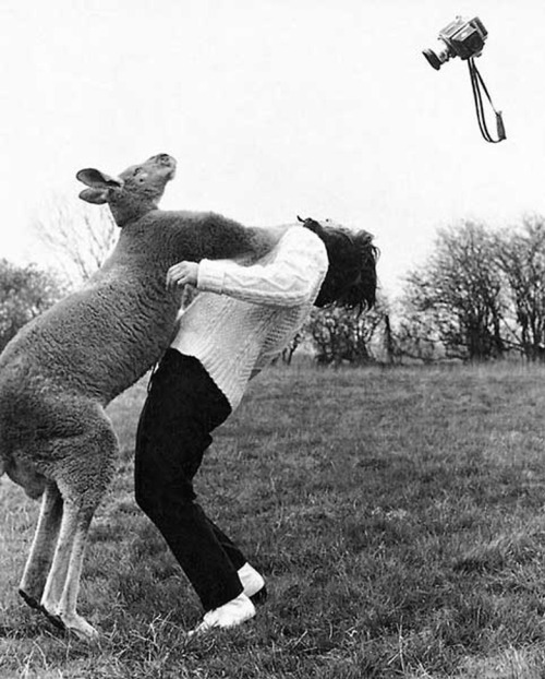 British circus owner Johnny Roberts, Sidney, 1972.