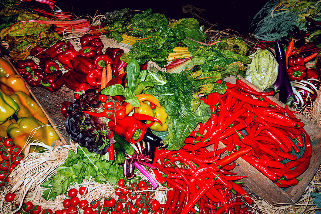 VEGGIES IN VENICE. JUNE 2022
Photo: Dylan Don