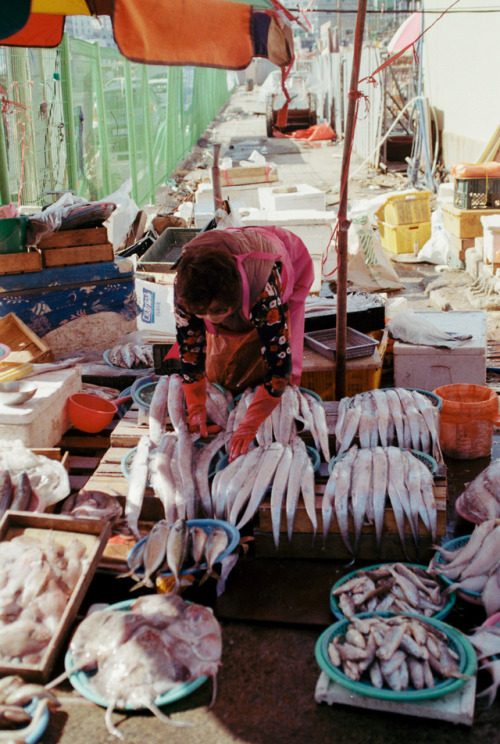 fishy business | jagalchi market, busan, november 2018kodak gold 200nikon f801nikkor 35mm f/2D