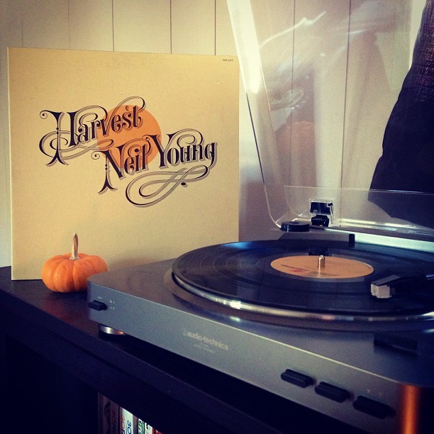 musicforants:  Now Playing: Neil Young - Harvest #vinylsunday 