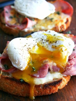 nom-food:  Croque monsieur with poached eggs