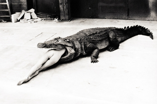 A scene from Pina Bausch’s Ballet, Die Keuschheitslegende (The Legend of Virginity), Wuppertal, by Helmut Newton, 1983.