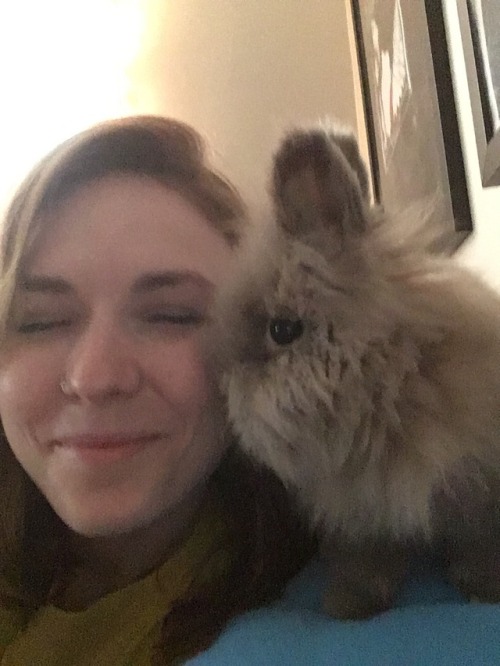 zohbugg: Gandalf has become quite the snuggle bun and loves sitting on my chest and shoulders.