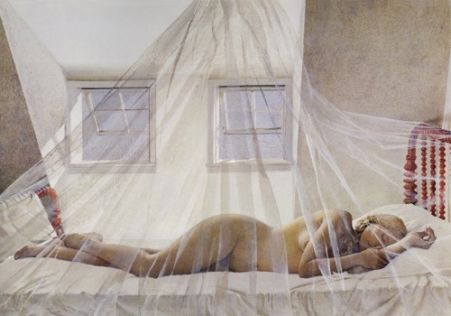 kerasi-a:  Andrew Wyeth 