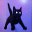 nickkittysblog