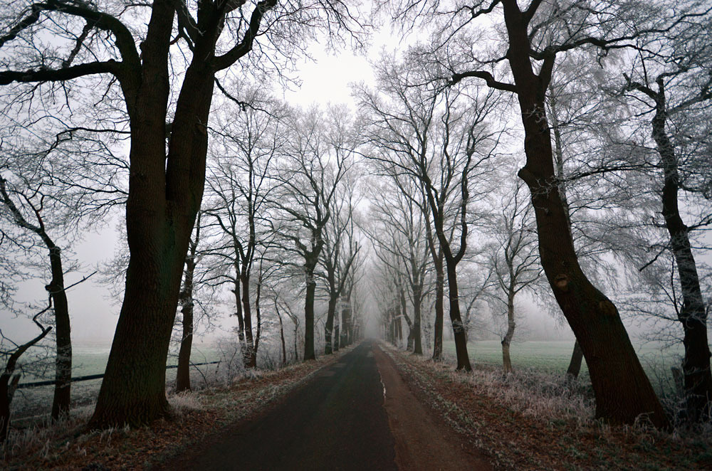 magic-spelldust:  road to nowhere by augenweide  