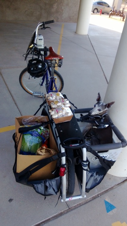 mseintempe:  Saturday morning ride to Redden Park for veggie pickup.