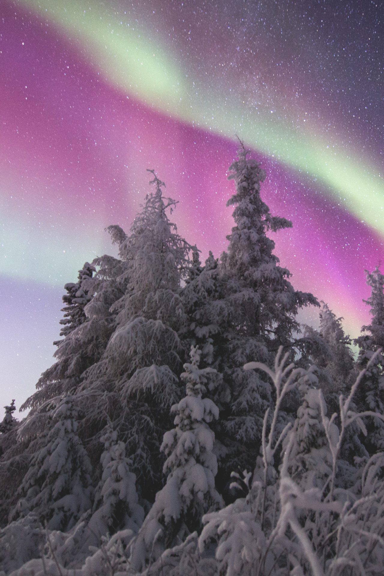 lsleofskye:  Snow and red aurora