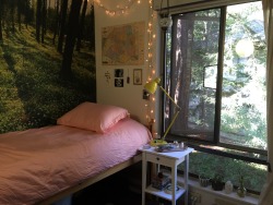 fyeahcooldormrooms:  UC Santa Cruz, Cowell