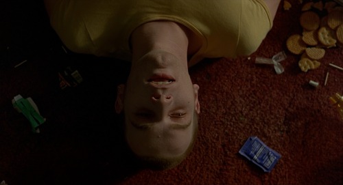 Trainspotting  [ 1996 ]Dir:  Danny BoyleDoP:  Brian TufanoFULL POST (60x - 1080p scre