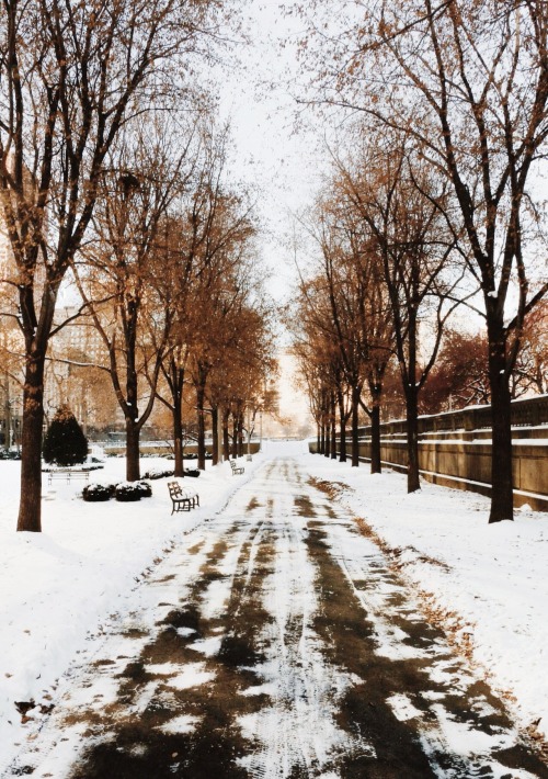 autumnwesley:  Chicago, IL // Winter 2013  This looks like the park we walked through to get to soldier field :) gorejess117