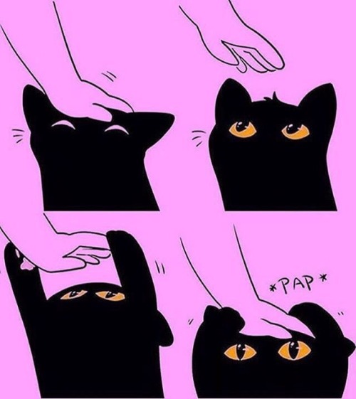 mommybaby: When daddy stops petting my head