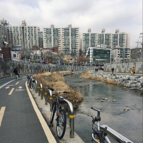 we discovered a free bike rental place near my apt, so last weekend was comprised of leisurely bike 