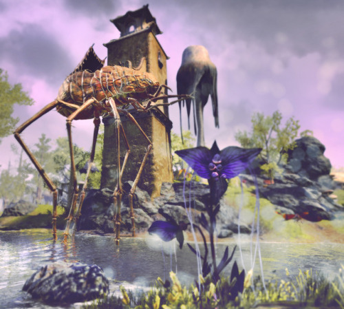 lady-of-cinder:↳ The Elder Scrolls Online : Seyda NeenMorrowind