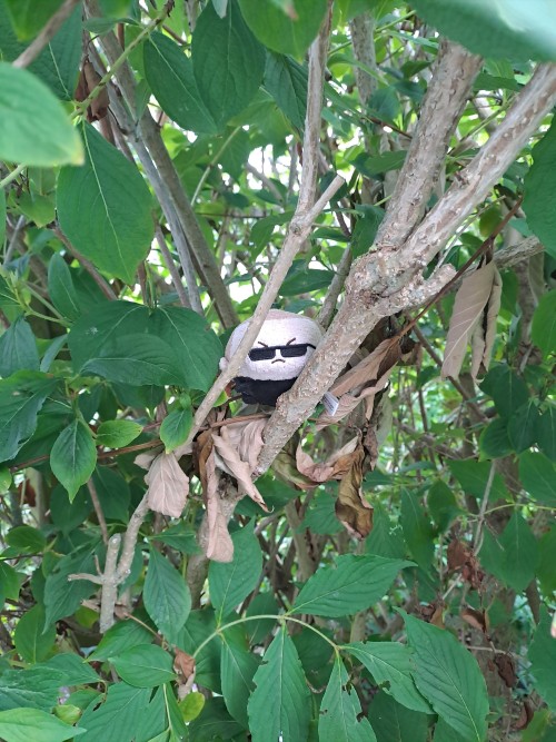 Playing Some Hide And Seek