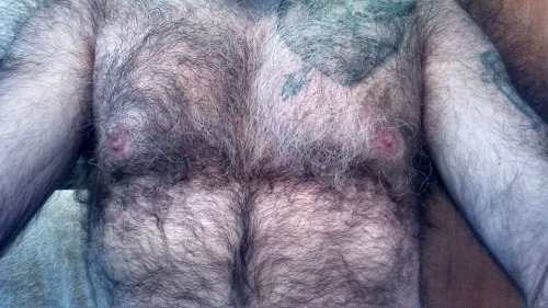 mrstf56:Been getting requests for a chest shot
