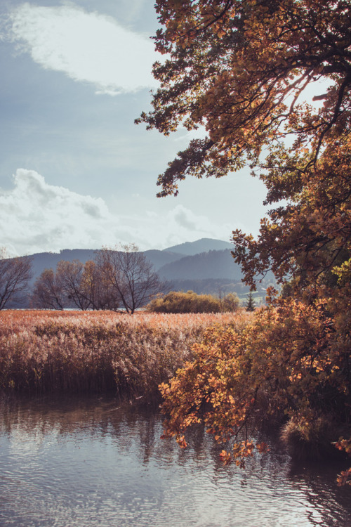 stephiramona: Autumn at Tegernsee