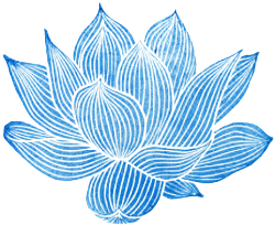 transparent-flowers:  Transparent lotus flower.