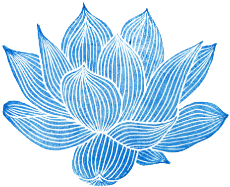 Porn transparent-flowers:  Transparent lotus flower. photos