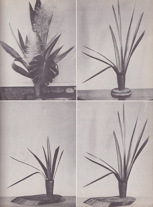 wolkeresearch: scan no. 27 / The Art of Flower Arrangement