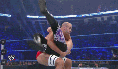 perversionsofjustice:  dailywrestling:  I have NEVER seen anyone bride a fall away