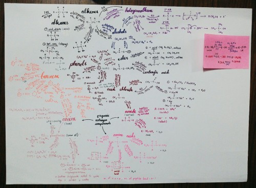 xerohalophytes: [ 6/111 days of production ] Spent about 2 hours doing this mind map zzz Intense min