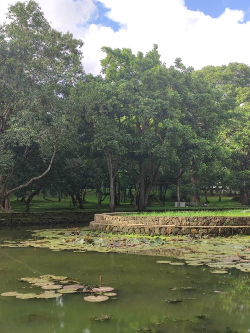 University Of The Philippines, Diliman