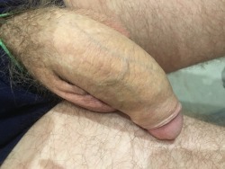 pissexhib:  My husband cock @spyexhib ! Qui va se prendre ce beau membre ce soir ? Les ejac à venir ! #lescouillespleines