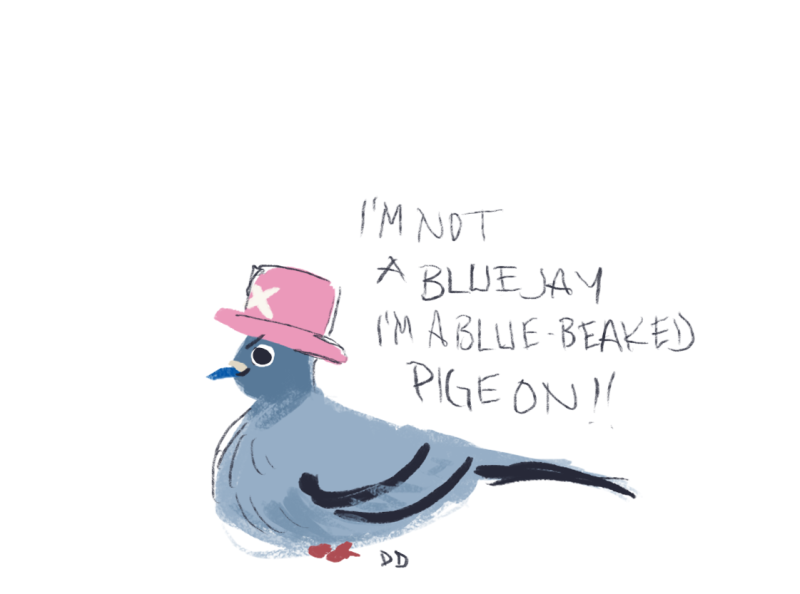 demdoodles:  MUGIWARA ROCK PIGEONS 