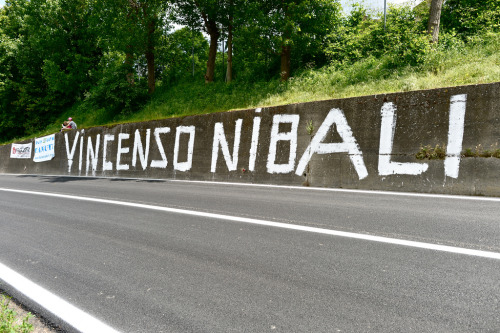 VincenSo Nibali (by pedale.forchetta)