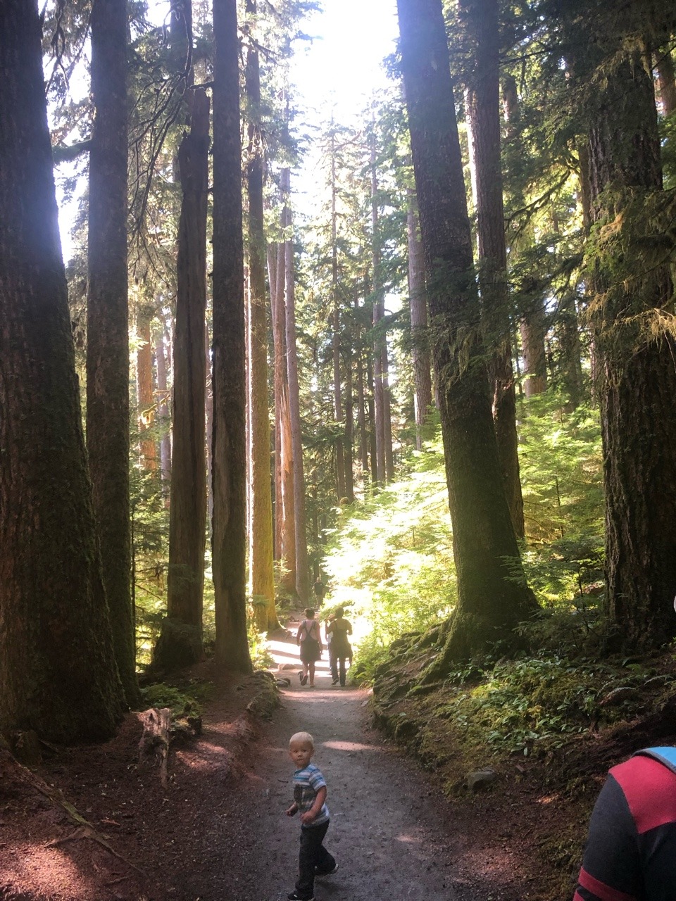 Finally got back out to Sol Duc falls, been talking about it anytime I see it pop