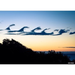 alexfringsphoto:  It’s 6ft offshore today… At least in the sky. #alexfringsphoto #byronbay (at www.alexfrings.com) 