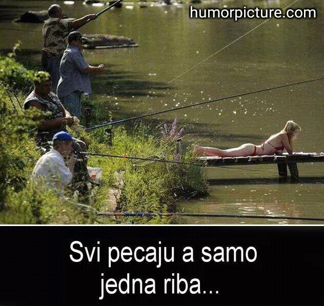 Smiješne slike — Svi pecaju … #svipecaju #pecanje #ribolov...