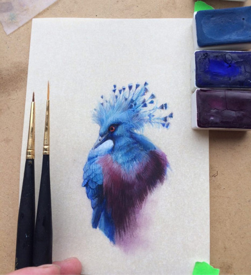 itscolossal:Bird by Bird: Miniature Bird Paintings by Dina Brodsky
