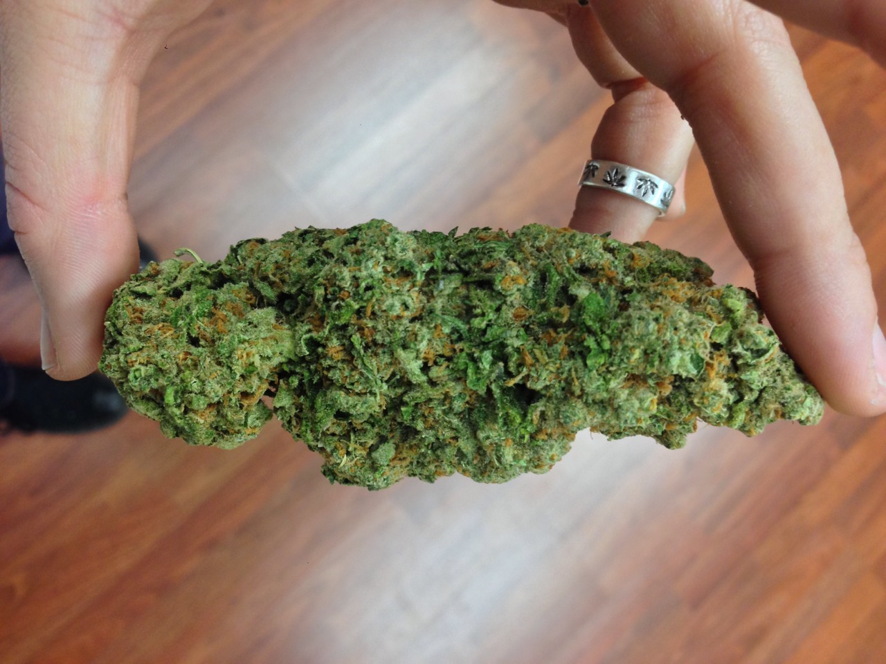 teelloo:  Sativa