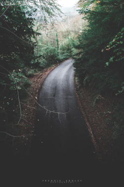 freddie-photography:  Road Through Forests