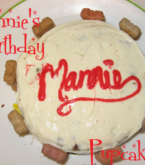 Mannies Birthday Pupcake