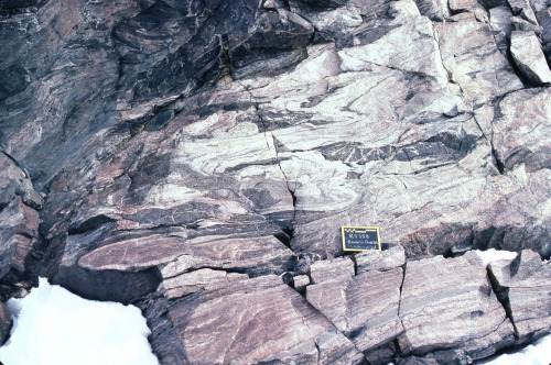 GneissThis is a classic gneiss texture from Mount Eissenger on the Antarctic Peninsula. Gneiss is a 