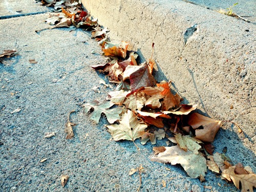nm-autumn-vibes