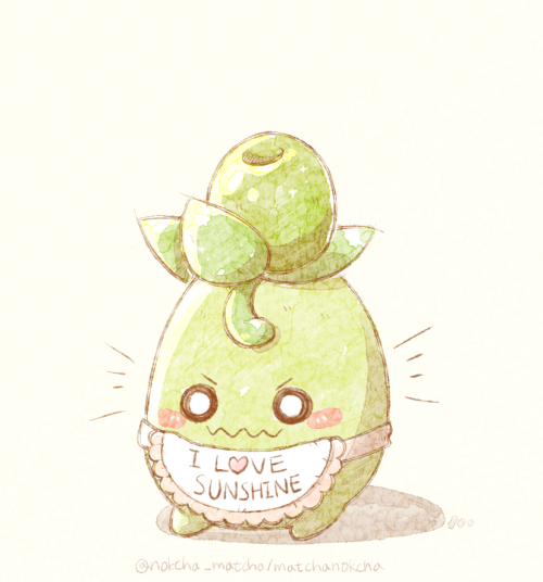 nokcha-matcha:don’t touch him. he is just photosynthesizing. 