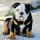 bjt3201:lose-fat-gain-muscles:    What a Beaut!