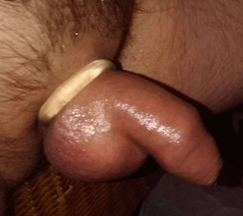 Porn photo My soft cock, freshly shaved and oiled ready