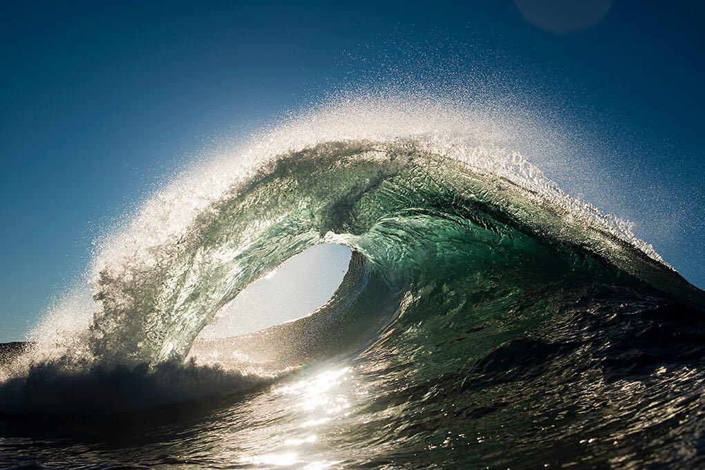 sosuperawesome:  Ray Collins on InstagramFollow So Super Awesome on Instagram 