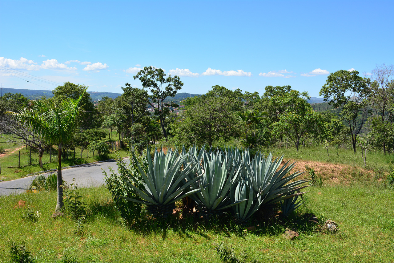 orbitalpavilion:  mirante muro de pedras   https://goo.gl/maps/M3nS4santa luzia
