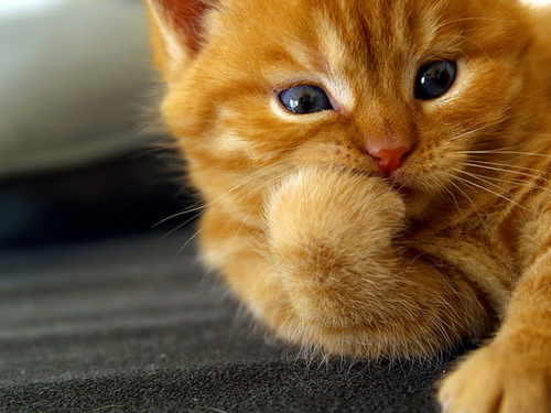 Is this day over yet?