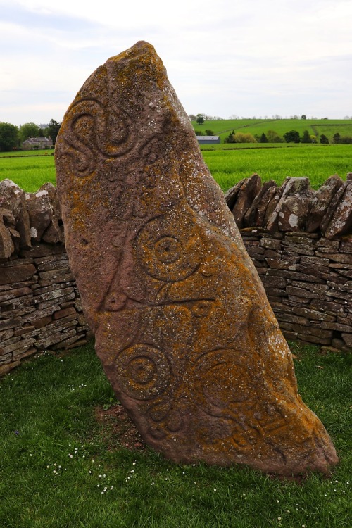 The Serpent Stone, Aberlemno Pictish Stones, Aberlemno, Angus, 20.5.18.On the front of this stone is