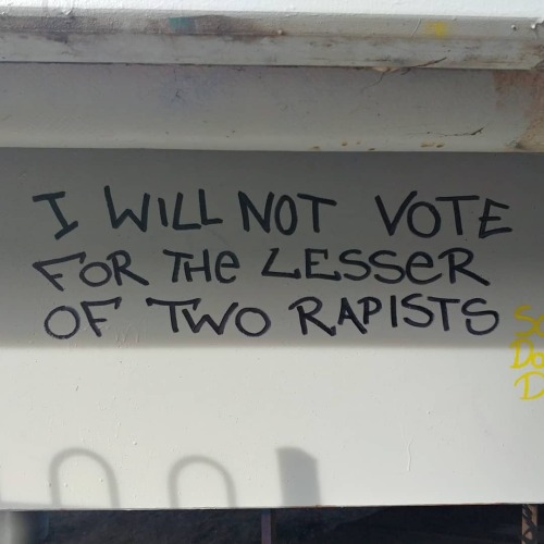 &ldquo;I will not vote for the lesser of two rapists&rdquo; Seen in Ann Arbor, Michigan