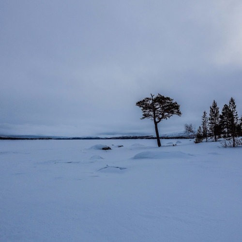 Hello Sweden, you are so pretty in the early morning.