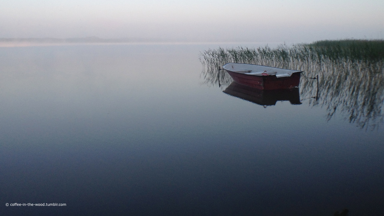 trochę więcej ciszy? proszę ;)
/
need a bit more of silence? here it is ;)